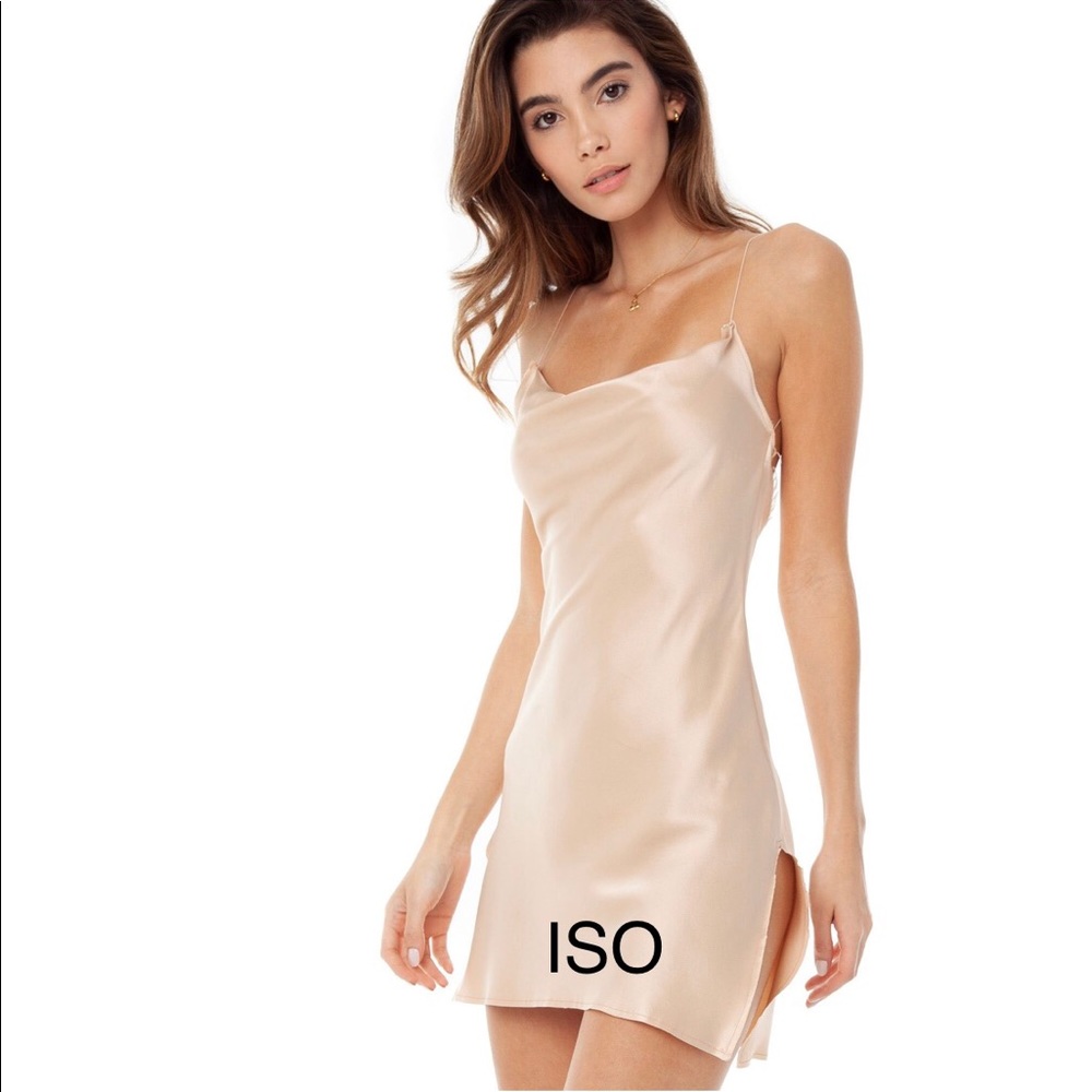 ISO Are You Am I Nique Dress